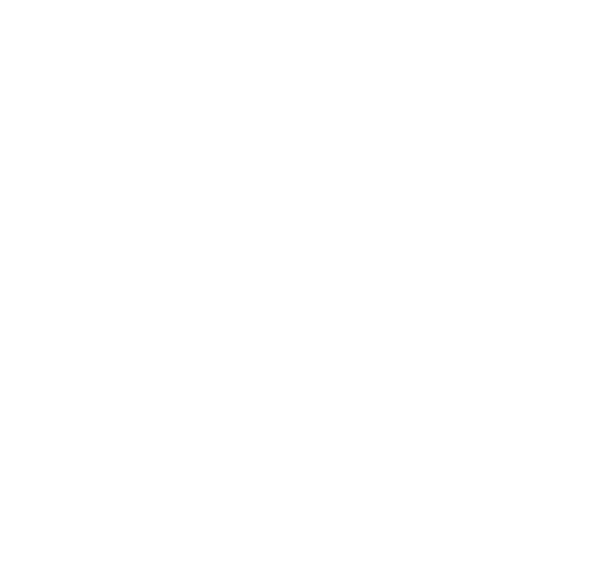 White abstract butterfly outline.